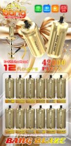 Bang-E-Shisha-42000-Puffs-3-146x300-1 Bang-E-Shisha-42000-Puffs-3-146x300-1