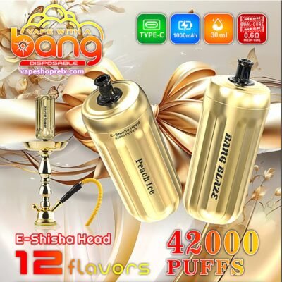 BANGE-SHISHA42000Puffs